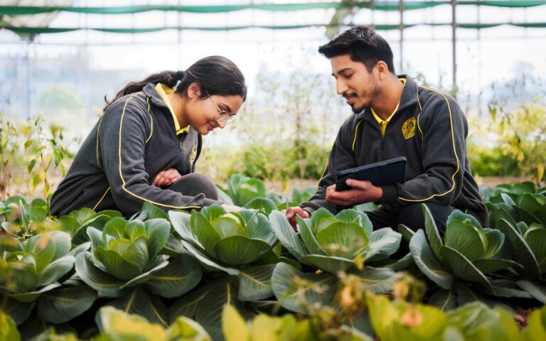 _DSC0095-Enhanced-NR